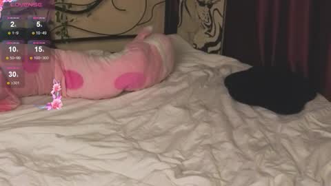 alikasocute online show from November 2025 04:55:01 AM