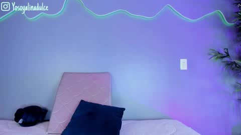    online show from September 2025 02:30:02 PM