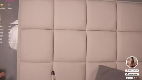     online show from February 2025 02:57:01 PM