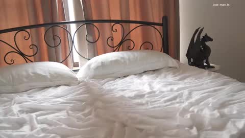 Alissa online show from February 2025 10:23:01 AM