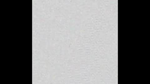 Alisse online show from October 2025 12:04:02 PM