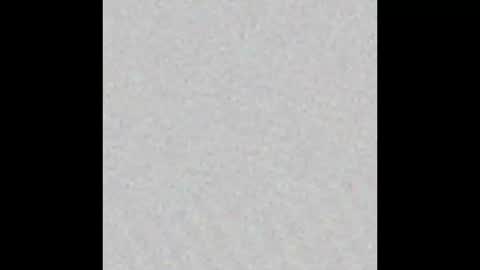 Alisse online show from February 2026 12:12:01 PM