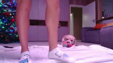 allissonhotbb online show from December 2024 07:21:01 PM