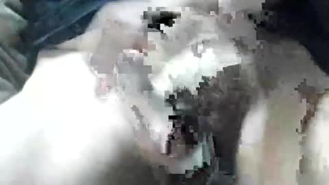 Snapshot of allways395 chatting on September 2025 03:34:01 AM allways395 online show from September 2025 03:34:01 AM