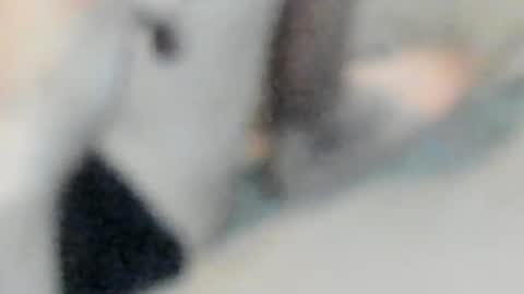 Snapshot of allways395 chatting on October 2025 05:04:02 AM allways395 online show from October 2025 05:04:02 AM