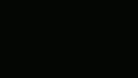 Frank online show from December 2024 09:49:02 AM