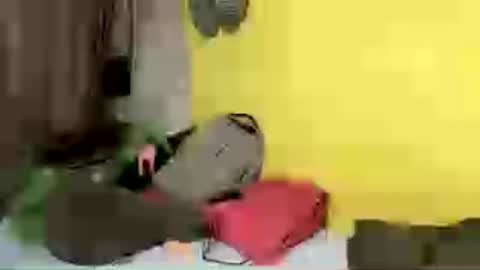 allyam online show from June 2026 12:33:01 PM