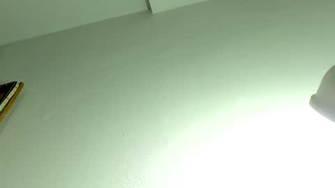 Snapshot of allyroux chatting on April 2026 12:32:02 PM Ally online show from April 2026 12:32:02 PM