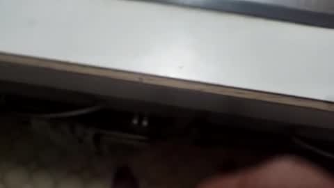 alostmale online show from December 2024 10:52:01 AM