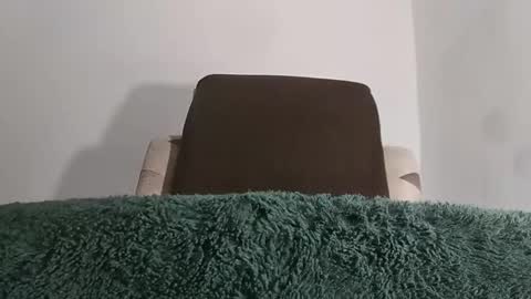 alotofcream4u online show from October 2025 05:17:02 AM