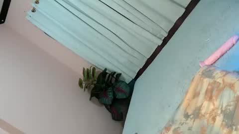 LEXY online show from February 2025 04:43:01 PM