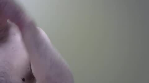 altoplay69 online show from June 2026 01:28:02 AM