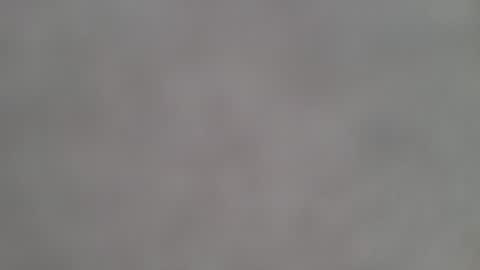 alwinnl online show from March 2025 12:33:02 PM