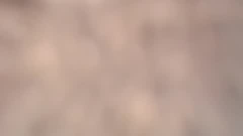 valentia online show from March 2026 02:24:02 PM