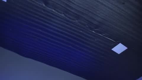 Emily online show from January 2025 02:22:01 PM