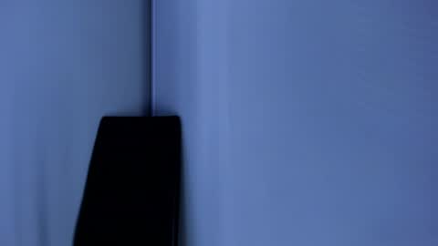 Emily online show from January 2025 07:05:01 PM