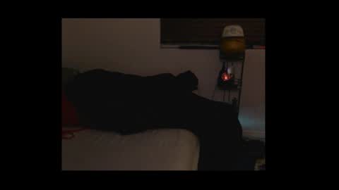 Mustang online show from March 2026 02:07:02 AM