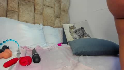 AMATISTA online show from November 2025 09:03:02 PM