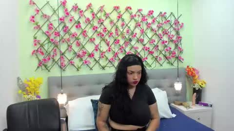 ambar85 online show from November 2025 03:49:02 AM