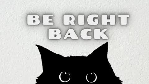 AmbarSantany  online show from February 2025 11:49:01 PM