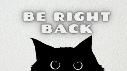 AmbarSantany  online show from February 2025 03:34:02 AM