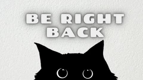 AmbarSantany  online show from February 2025 02:36:02 AM