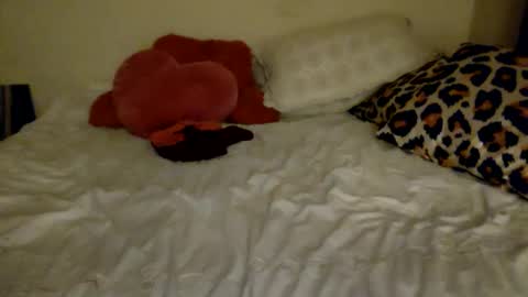 Snapshot of amberloves2write chatting on February 2025 02:58:01 AM Amberloves2write aka AmberMyBelle online show from February 2025 02:58:01 AM