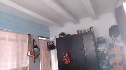 amelia  online show from December 2024 01:03:01 PM