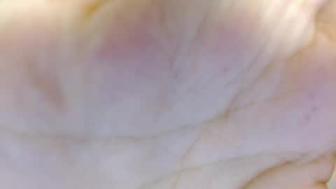 amelia_fry online show from March 2025 04:24:01 AM