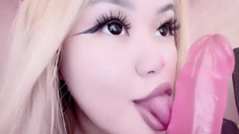 Amelia online show from February 2025 12:26:01 AM