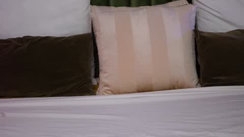 Amelia online show from December 2024 07:58:01 AM