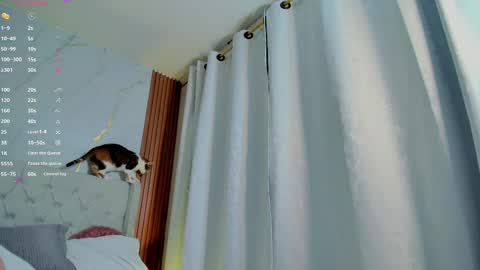 Alejandra  online show from February 2025 07:37:02 AM