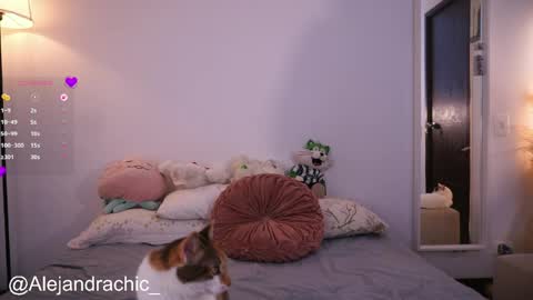 Snapshot of amelie_leigh chatting on May 2026 01:02:02 AM Alejandra online show from May 2026 01:02:02 AM