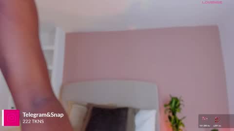 AMMY online show from March 2026 07:41:02 PM