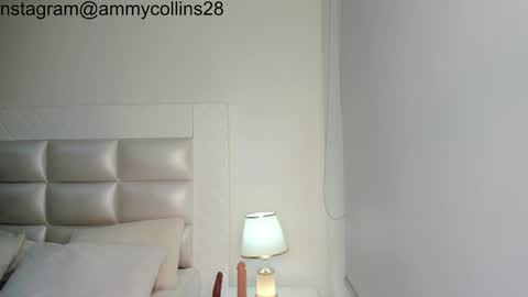 Snapshot of ammycollins28 chatting on December 2024 03:29:02 AM online show from December 2024 03:29:02 AM