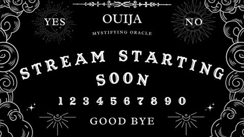 Amy 3 online show from December 2024 07:53:01 AM