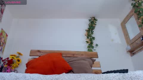 amy mur online show from December 2024 09:50:02 AM