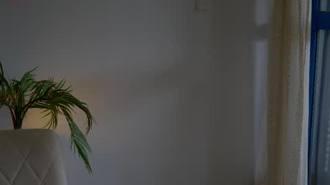 anabelcurvy online show from May 2026 01:27:01 PM