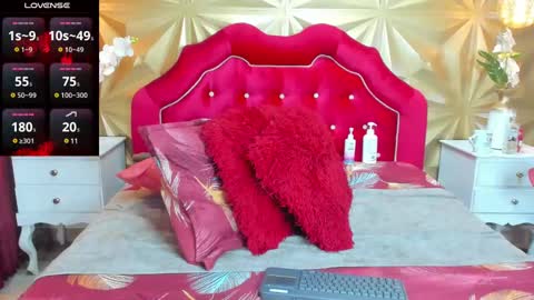 ANA online show from December 2024 08:28:01 PM