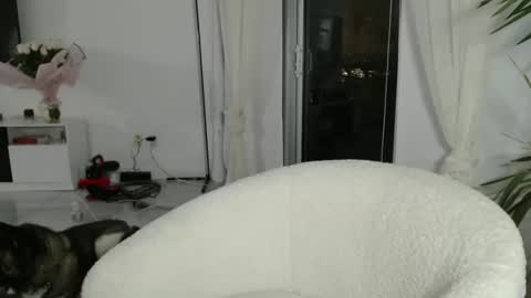 anakalistasia online show from January 2025 12:31:02 AM