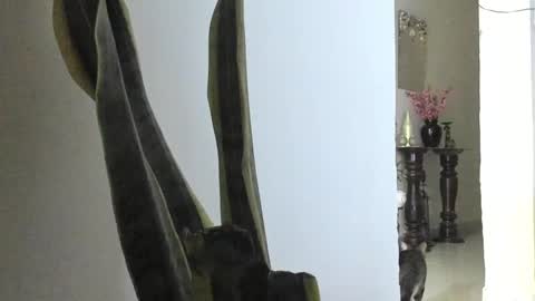 Ana Pakerman online show from March 2025 12:42:02 AM