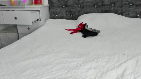  ANASTASIA DANGER  online show from January 2025 04:18:01 PM