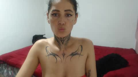 ANA online show from October 2025 07:14:02 PM