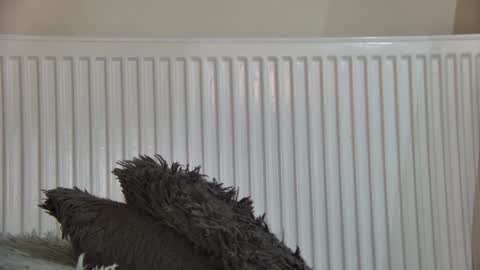 of  just4ana online show from January 2026 05:27:02 PM