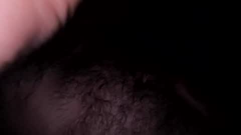 andre3304333666 online show from August 2026 10:24:02 PM