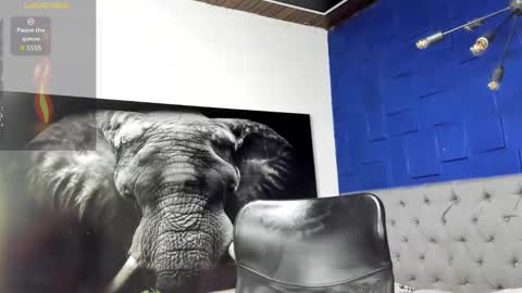 insta andres clark  online show from March 2026 04:24:01 PM