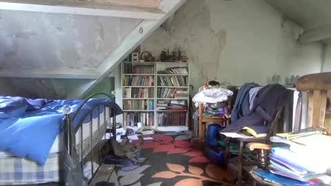 Andrew online show from June 2026 10:46:02 AM