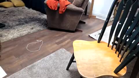 andrewo42601 online show from January 2026 10:13:02 PM