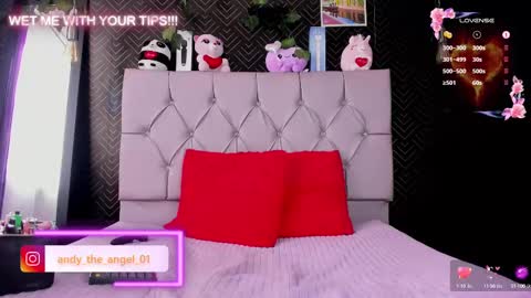 andy angel online show from February 2025 01:00:02 PM