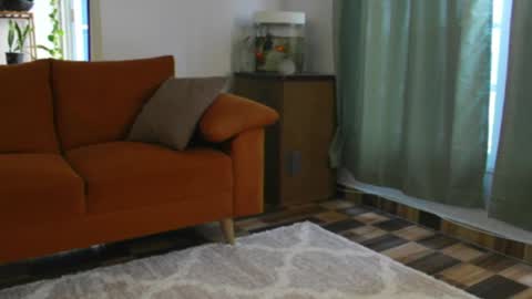 Cherry online show from April 2026 12:30:01 PM